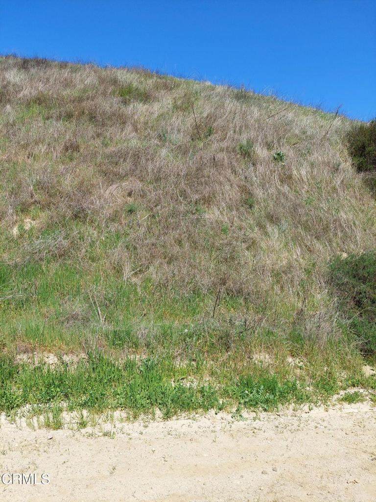 0 Loma Verde Mountainway - Photo 1
