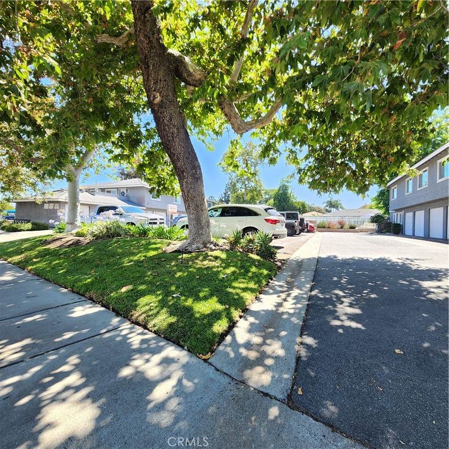 2133 Orange Olive Road - Photo 1