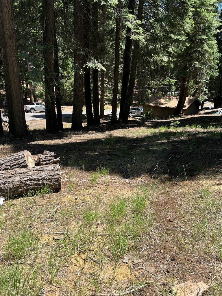 631 Cedar Canyon Road - Photo 1