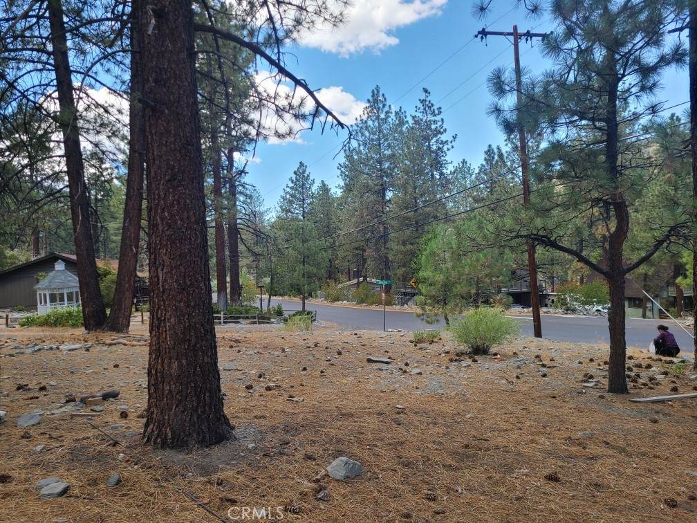 0 Lodgepole Drive - Photo 1