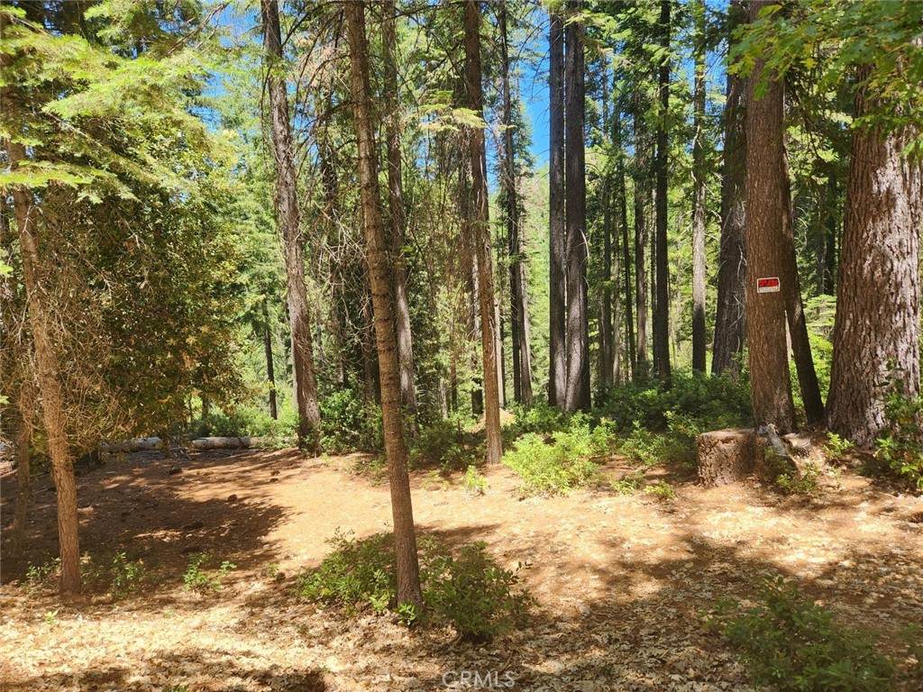 https://bt-photos.global.ssl.fastly.net/socal/orig_boomver_1_374698034-2.jpg