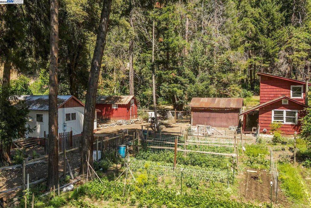 100 Wonder Stamp Ln - Photo 1