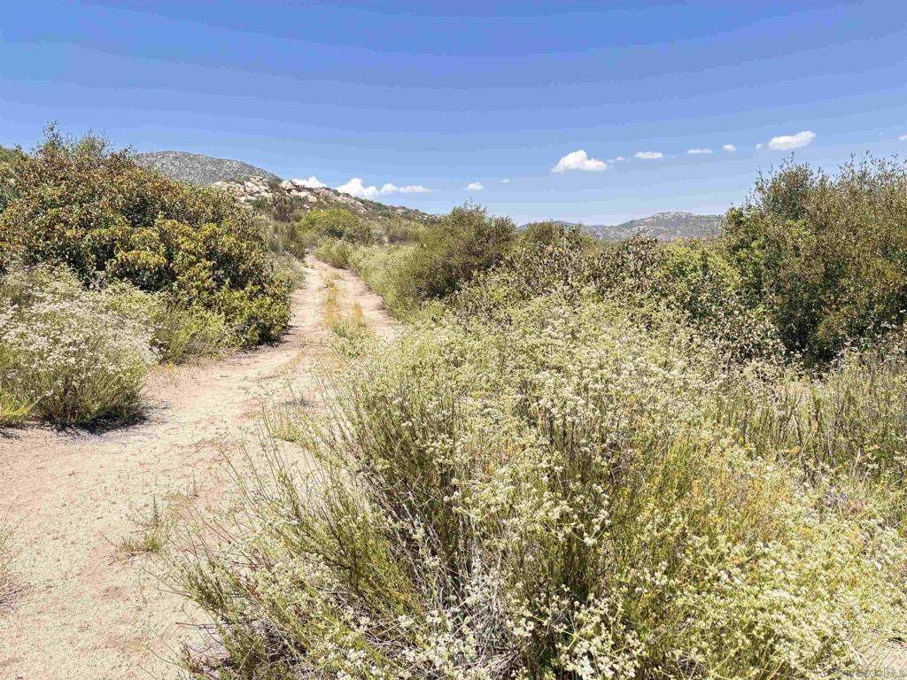 https://bt-photos.global.ssl.fastly.net/socal/orig_boomver_1_374747559-2.jpg