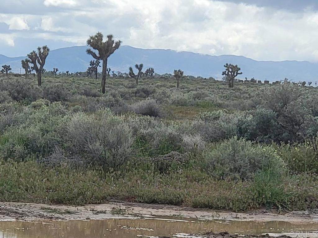 0 Ave    H - Photo 1