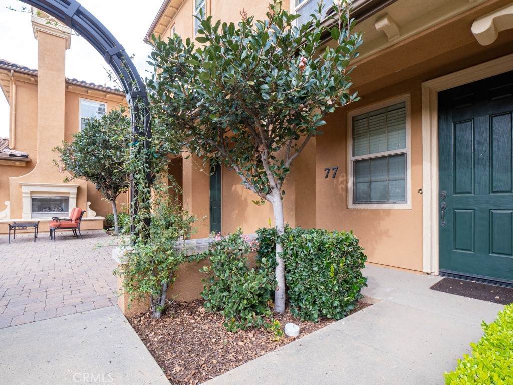 77 Long Meadow - Photo 1