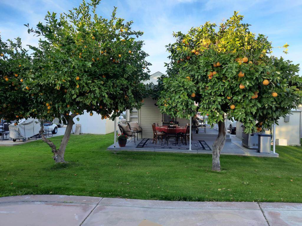 https://bt-photos.global.ssl.fastly.net/socal/orig_boomver_1_374776684-2.jpg