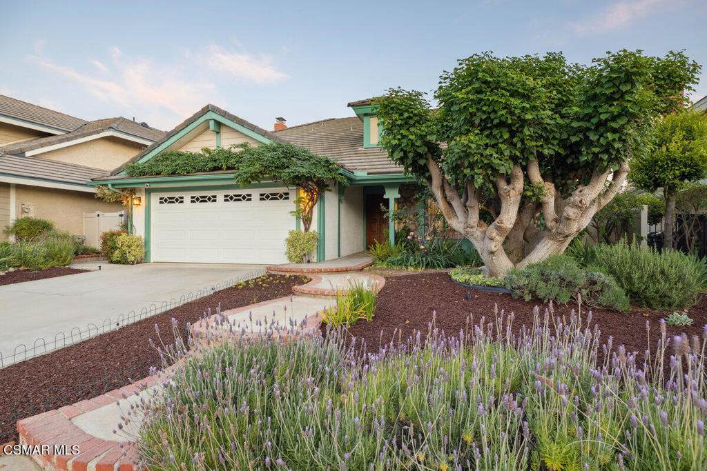 6690 Oak Springs Drive - Photo 1