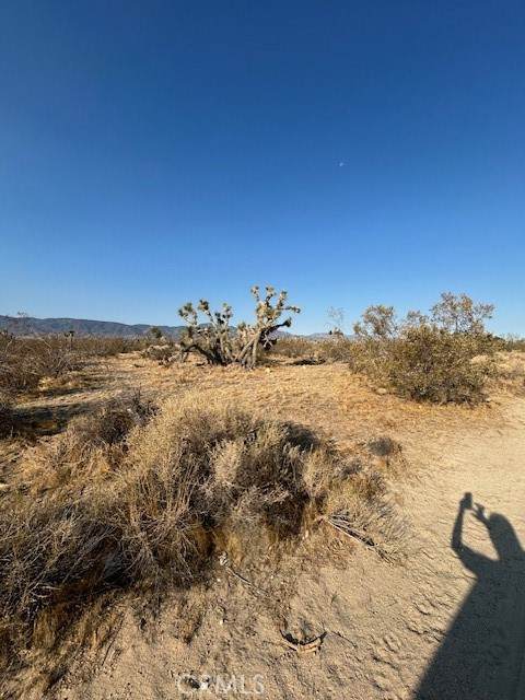 https://bt-photos.global.ssl.fastly.net/socal/orig_boomver_1_374800237-2.jpg