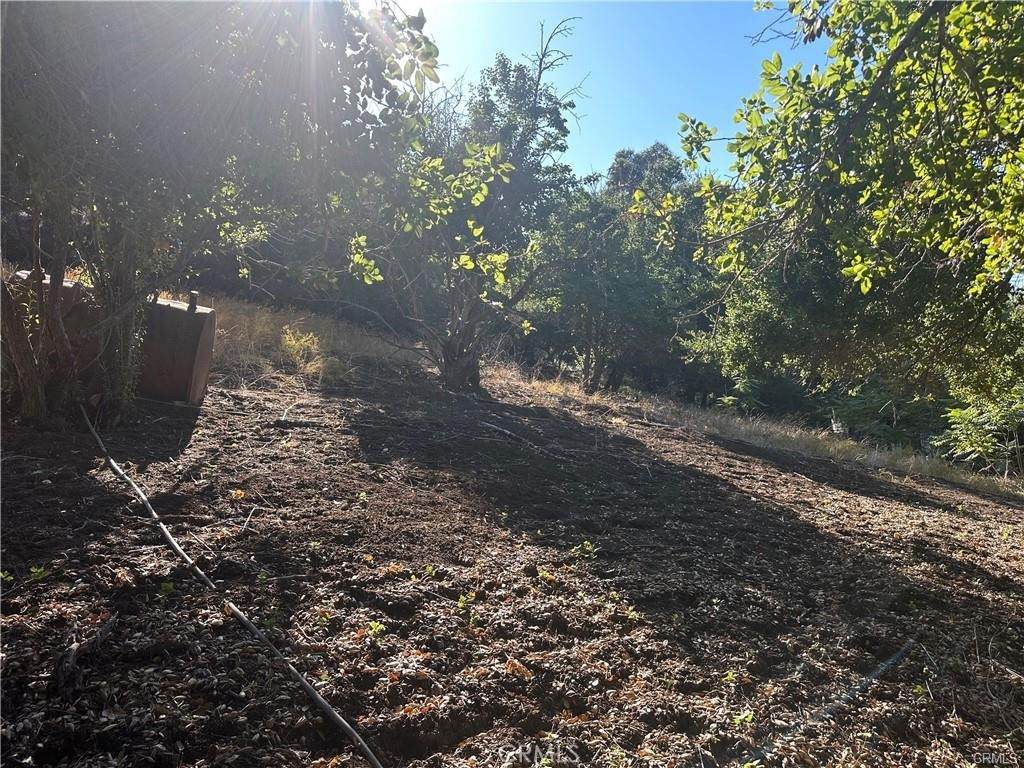 0 Paradise Lane - Photo 1