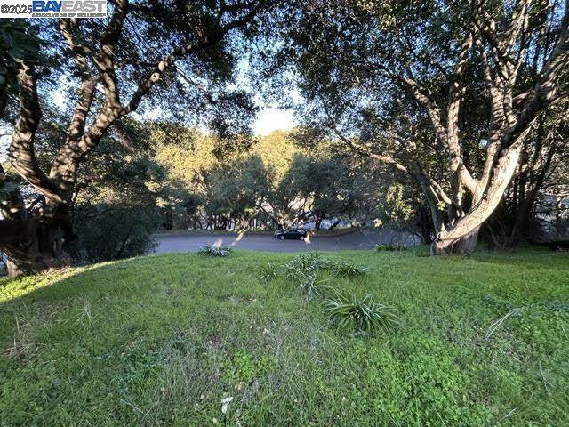  Morse Ave - Photo 1