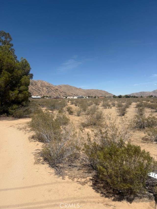 0 Ocotilla - Photo 1