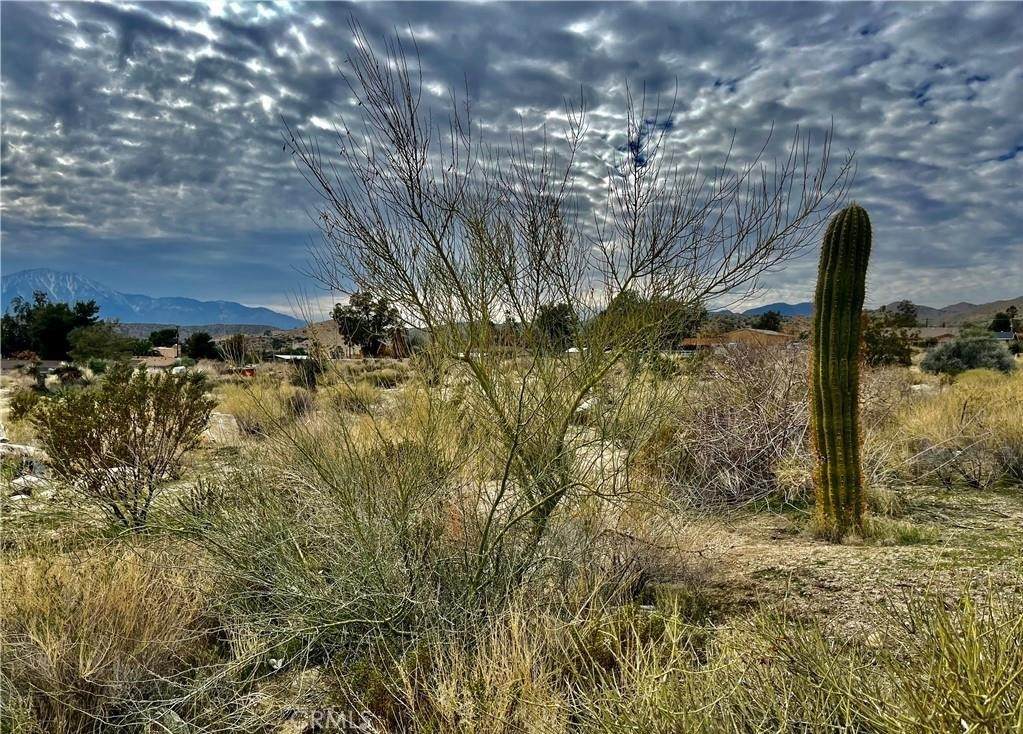 11040 Mescalero Avenue - Photo 1
