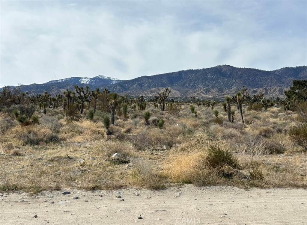 0 Mono Road - Photo 1