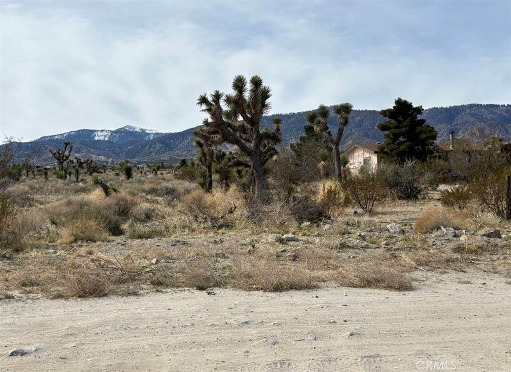 https://bt-photos.global.ssl.fastly.net/socal/orig_boomver_1_374831266-2.jpg