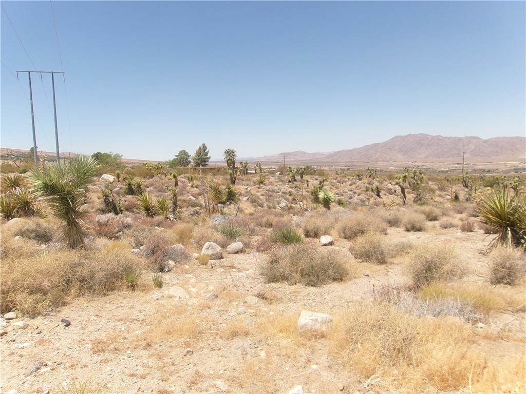 https://bt-photos.global.ssl.fastly.net/socal/orig_boomver_1_374839507-2.jpg