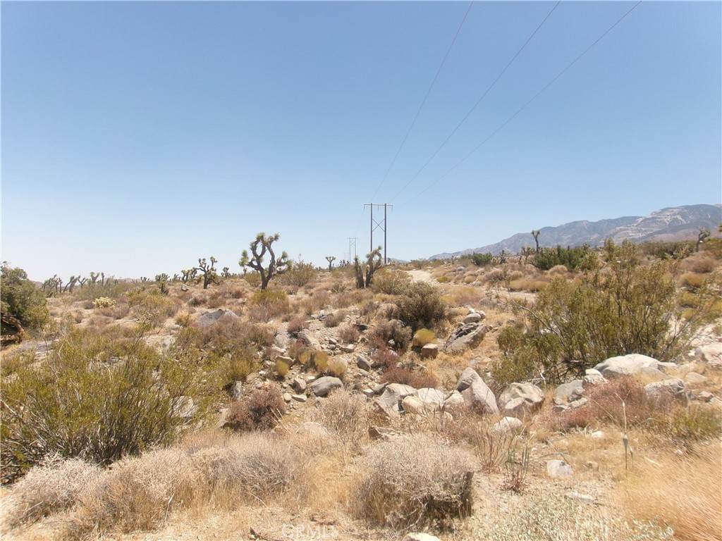 https://bt-photos.global.ssl.fastly.net/socal/orig_boomver_1_374839507-2.jpg