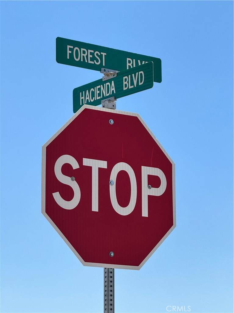 0 Forest Boulevard - Photo 1