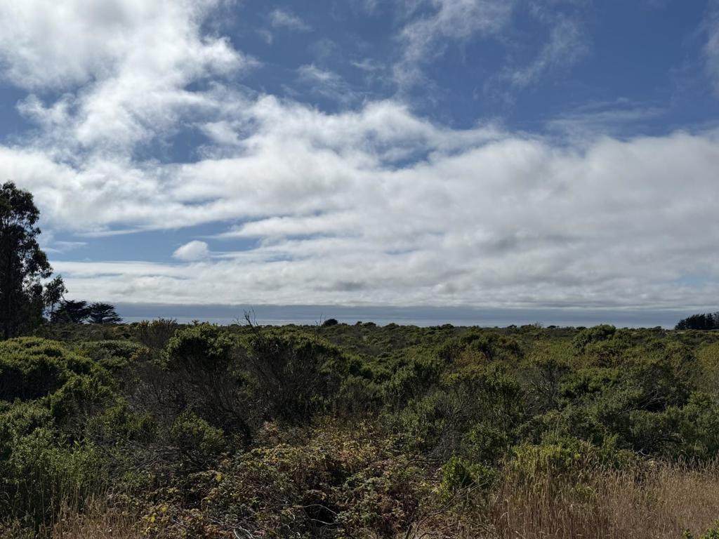 0 Bonita Ave. - Photo 1