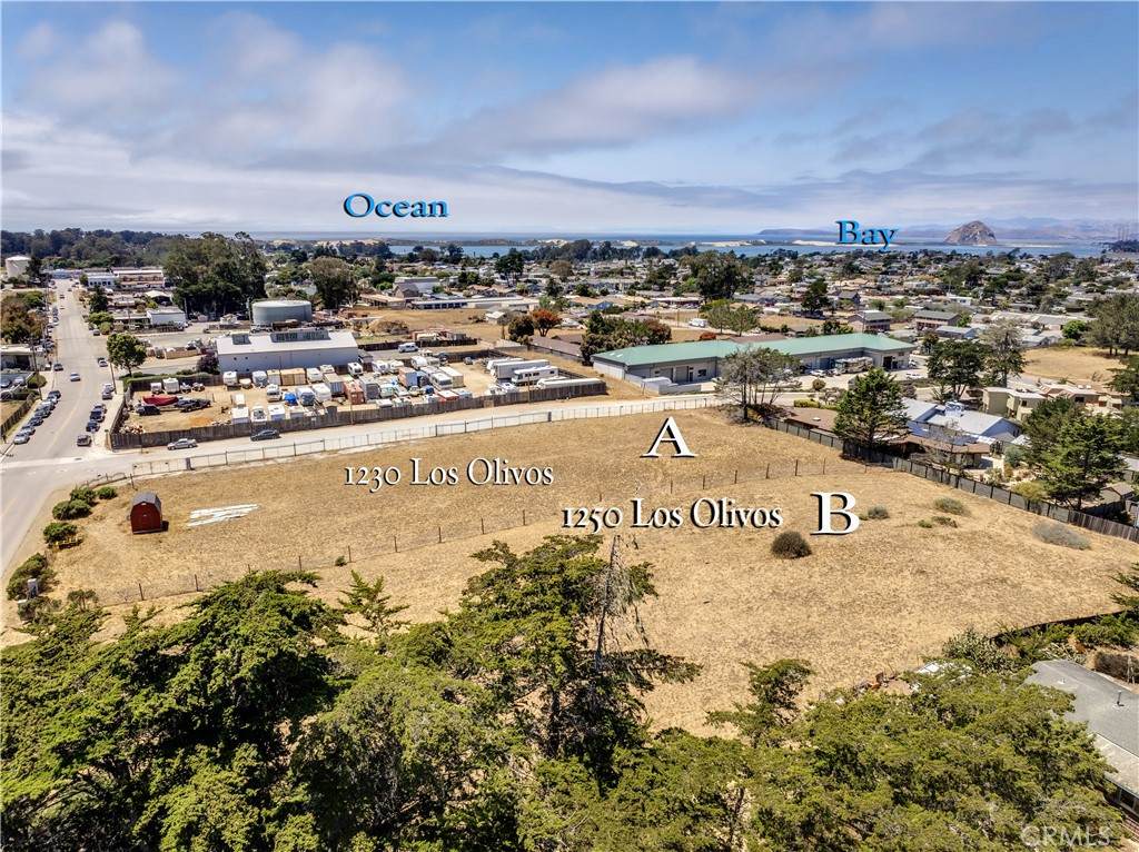 1230 Los Olivos Avenue - Photo 1