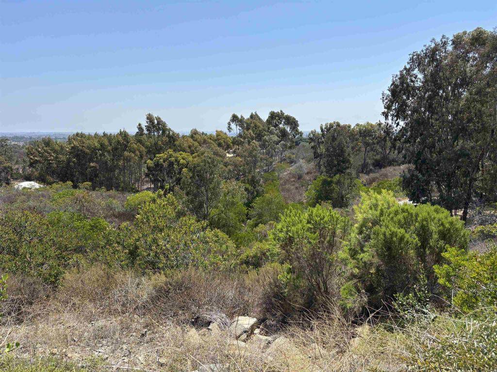 https://bt-photos.global.ssl.fastly.net/socal/orig_boomver_1_374930060-2.jpg