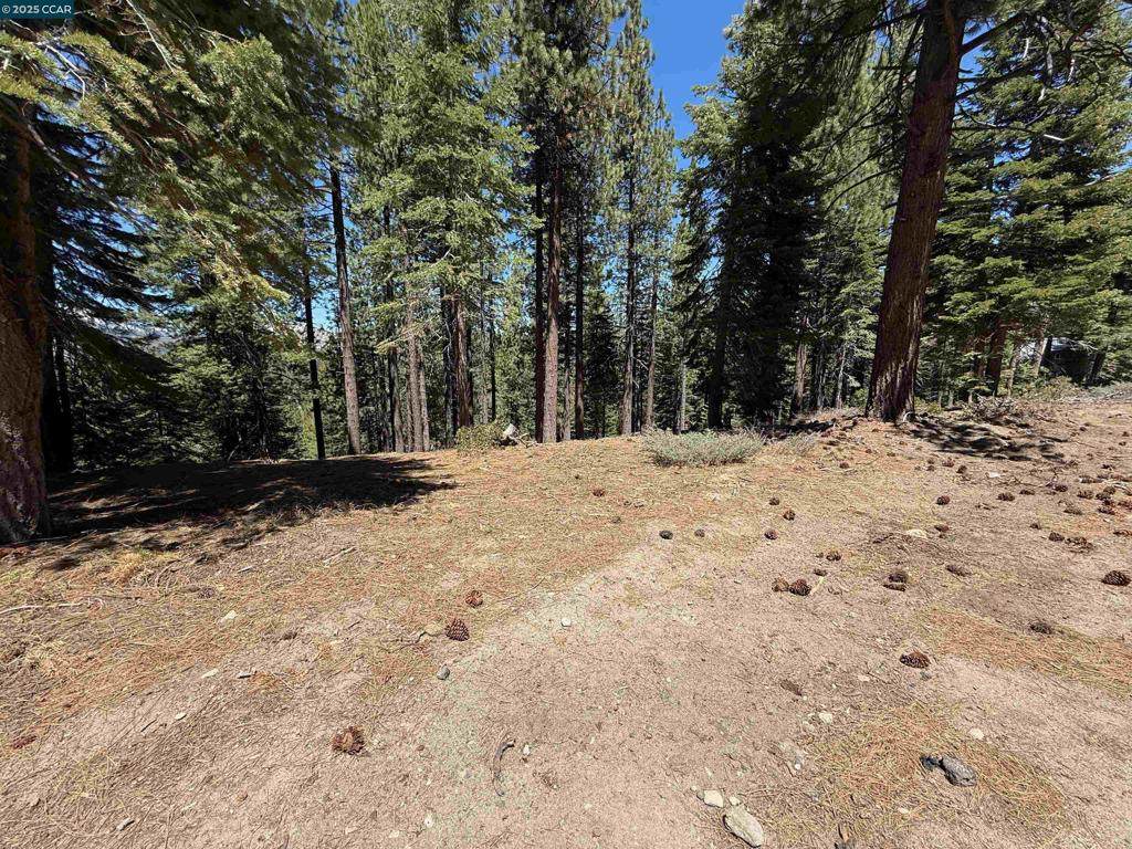 1578 Skyline Drive - Photo 1