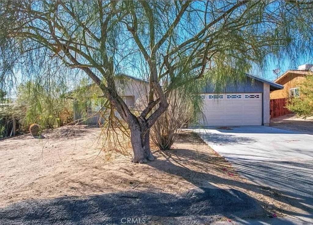5970 Lupine Avenue - Photo 1