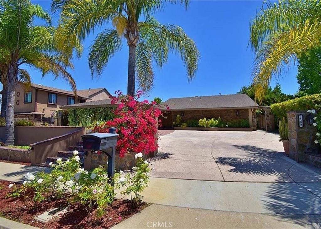 24272 Lysanda Drive - Photo 1