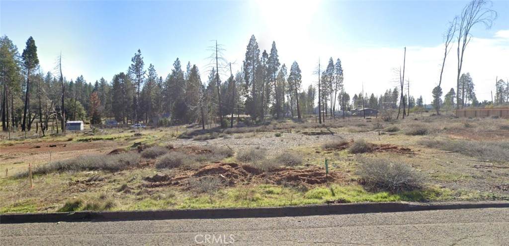 6238 Odessa Court - Photo 1