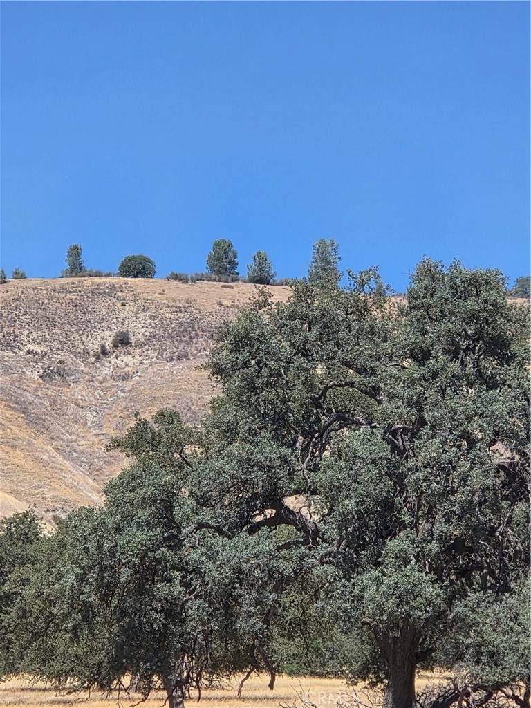 https://bt-photos.global.ssl.fastly.net/socal/orig_boomver_1_374961008-2.jpg