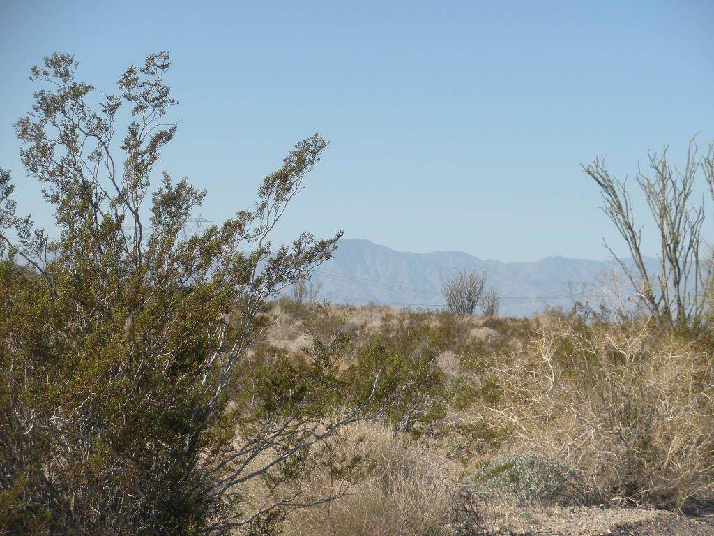 https://bt-photos.global.ssl.fastly.net/socal/orig_boomver_1_374988833-2.jpg