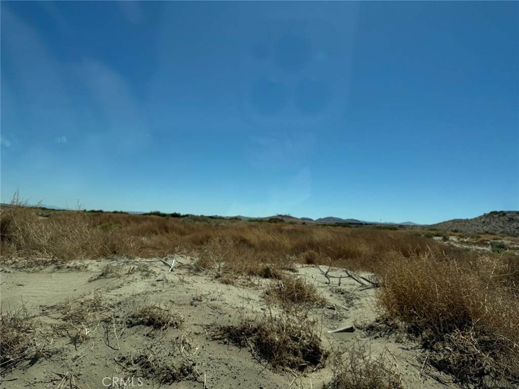 29315 Indian Trail - Photo 1