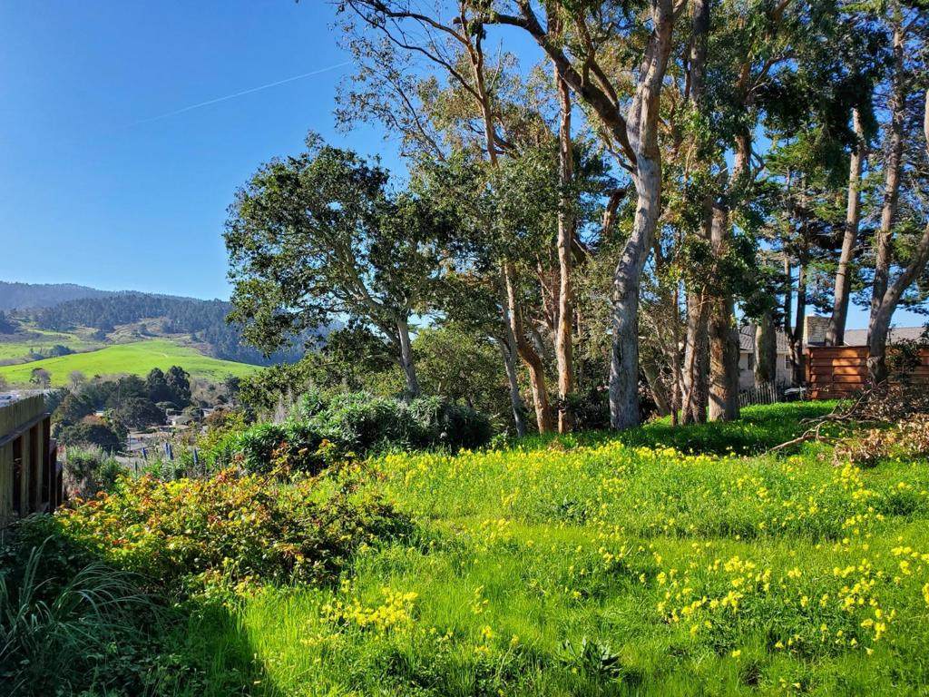 3528 Lazarro Drive - Photo 1