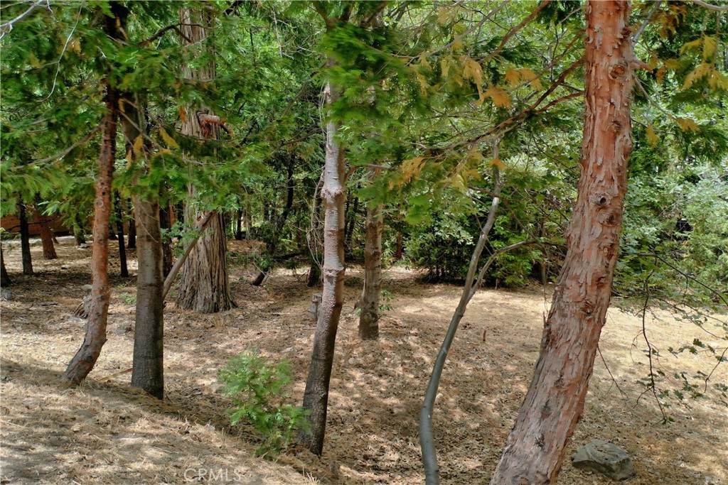 27513 Meadow Bay Drive - Photo 1