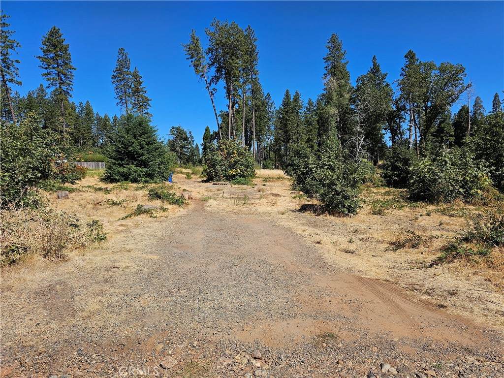 1533 Forest Service Rd - Photo 1