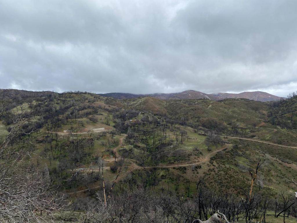 48015 Mines Road - Photo 1