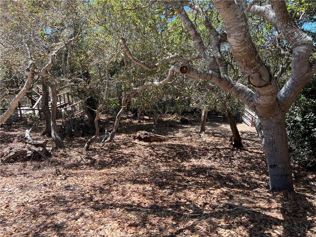 1845 Norwich Avenue - Photo 1