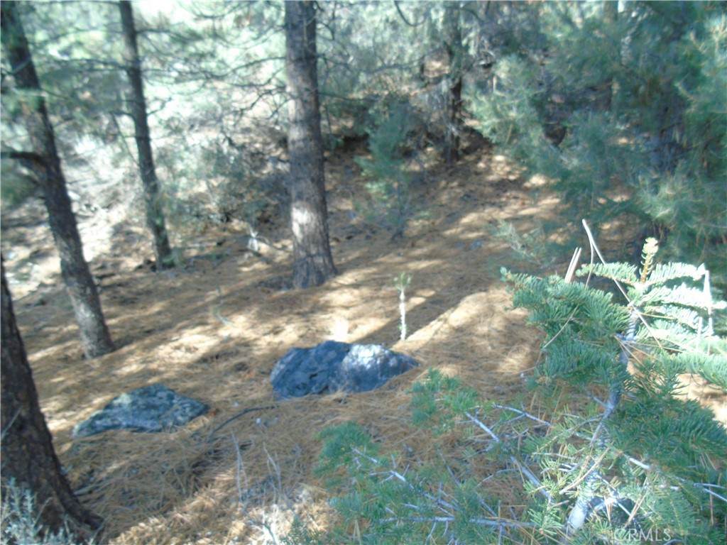 https://bt-photos.global.ssl.fastly.net/socal/orig_boomver_1_375050970-2.jpg