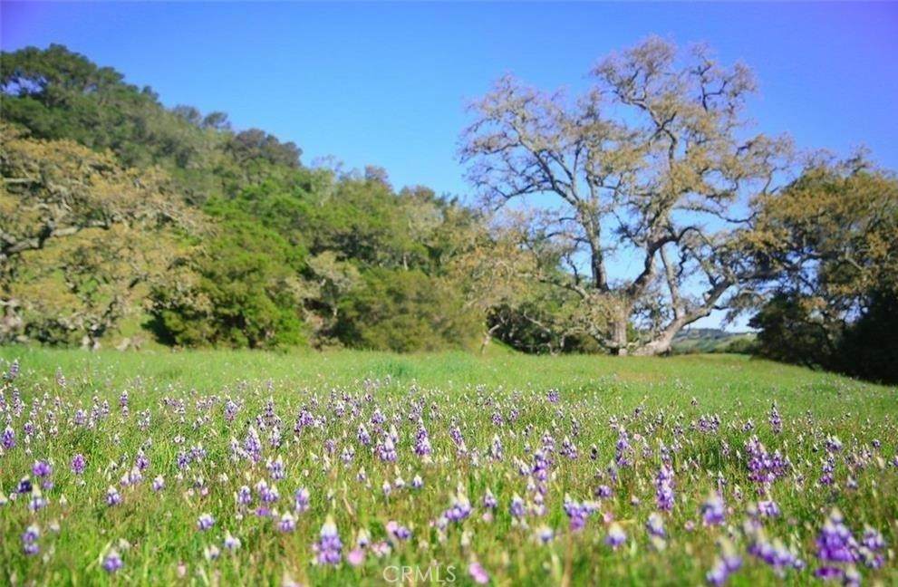 https://bt-photos.global.ssl.fastly.net/socal/orig_boomver_1_375065511-2.jpg