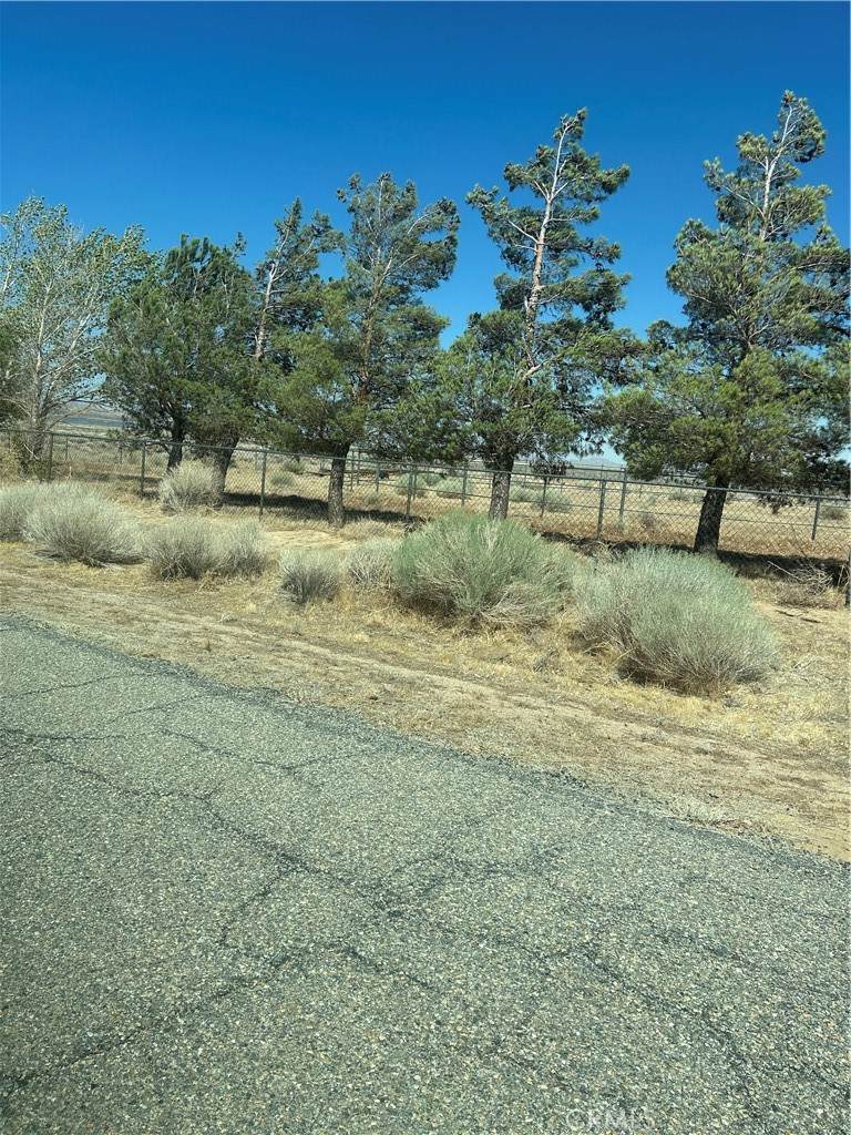 50206 230th Street - Photo 1