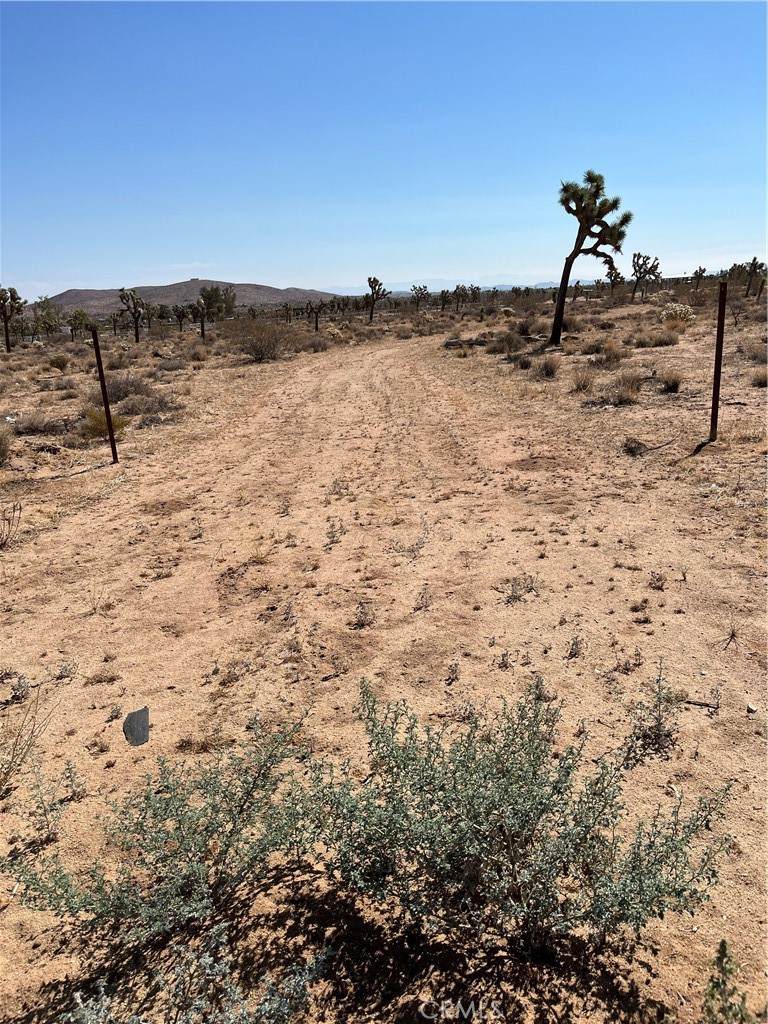 2801 Avalon Avenue - Photo 1