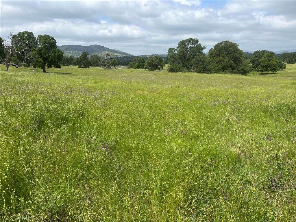 2463 Old Highway - Photo 1