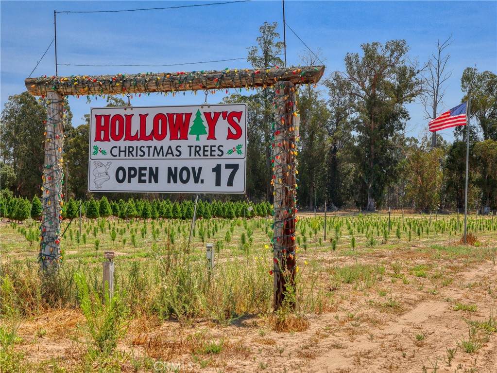 424 Bermuda Place - Photo 1