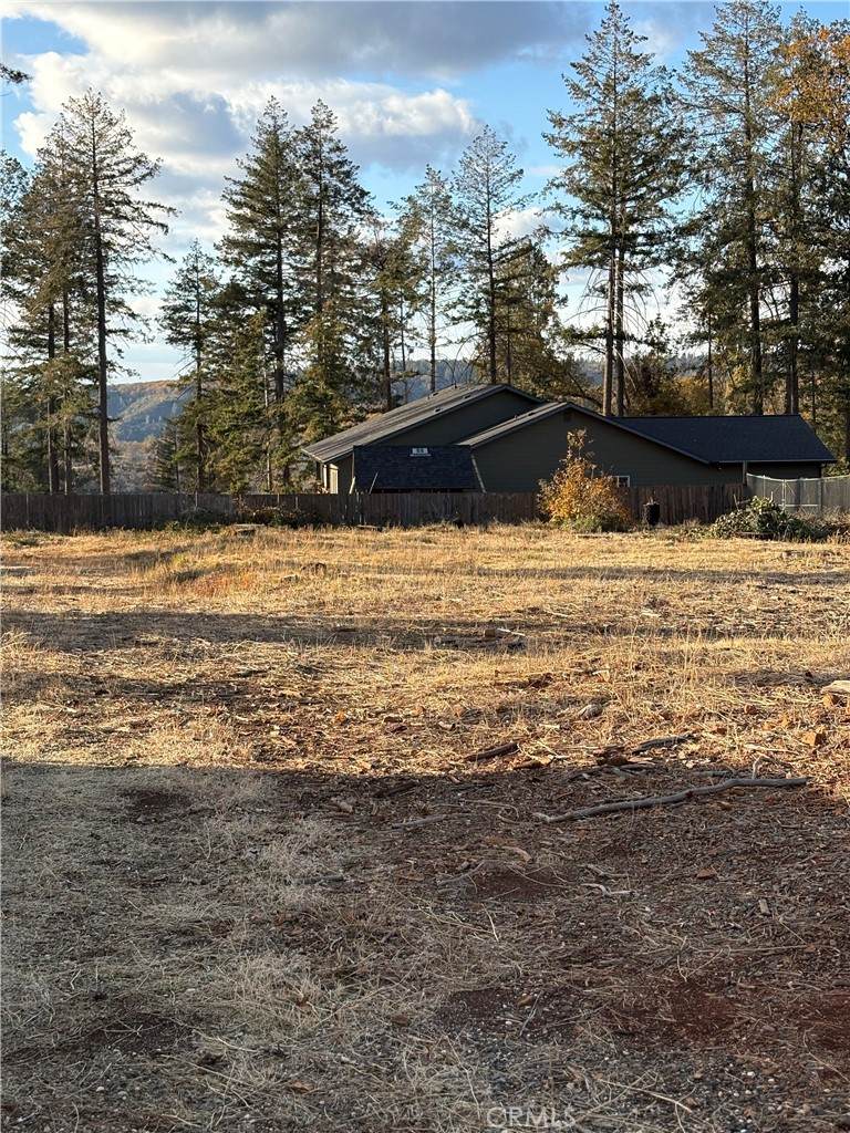 8959 Skyway - Photo 1