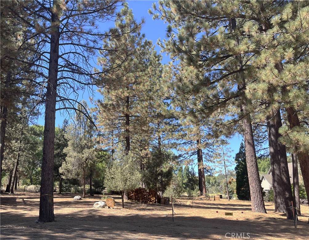 2613 Teakwood Court - Photo 1