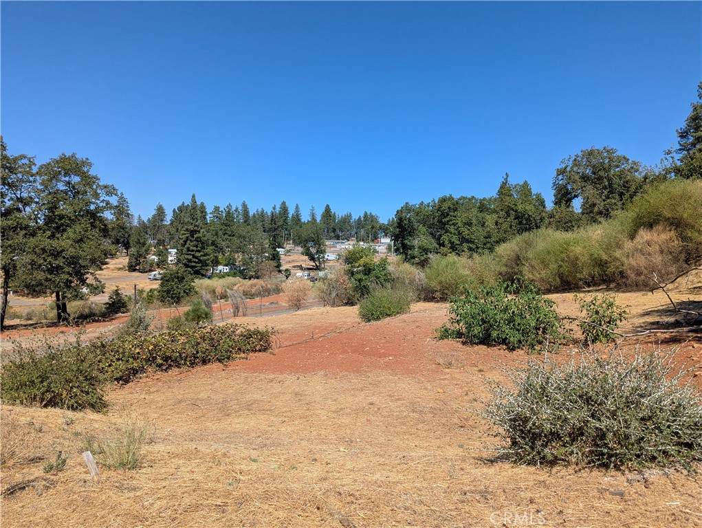 1067 Bille Road - Photo 1