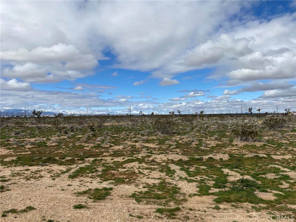 0 Bellflower Street - Photo 1