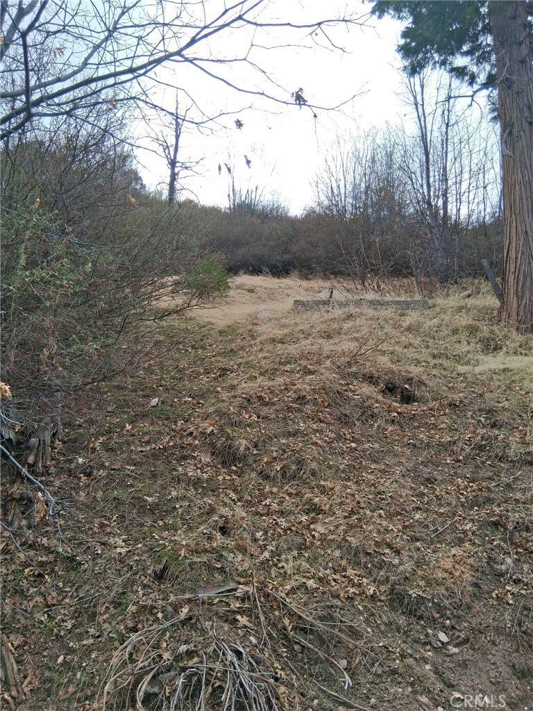 0 Pine Drive - Photo 1