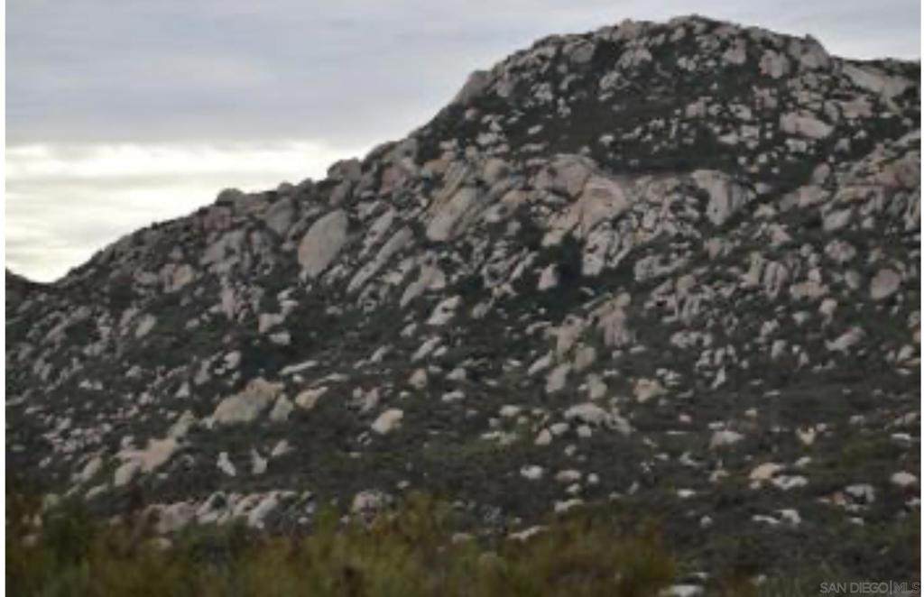 40 Wide Oak - Photo 1