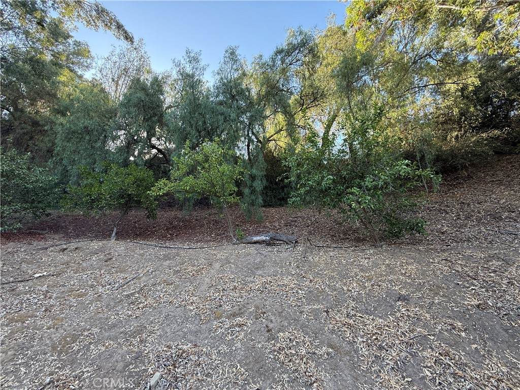 https://bt-photos.global.ssl.fastly.net/socal/orig_boomver_1_375120459-2.jpg