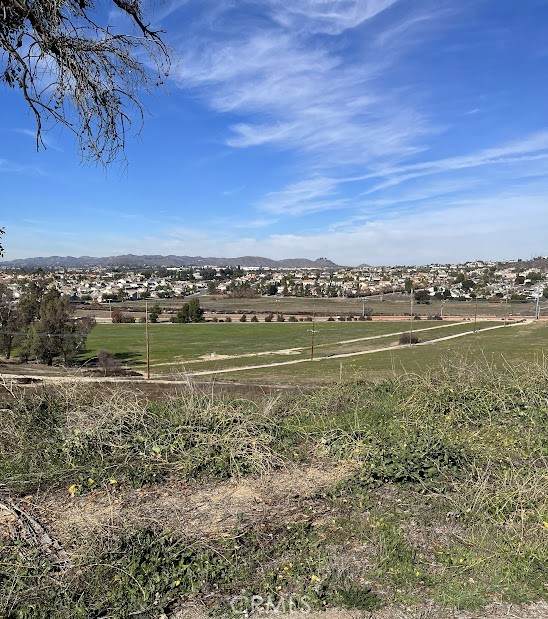 30925 Nicolas Road - Photo 1